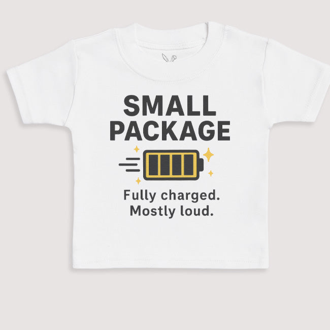 Small Package - Baby Gift Set - Baby Bodysuit Gift Set
