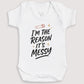 Reason It's Messy - Baby Gift Set - Baby Bodysuit Gift Set